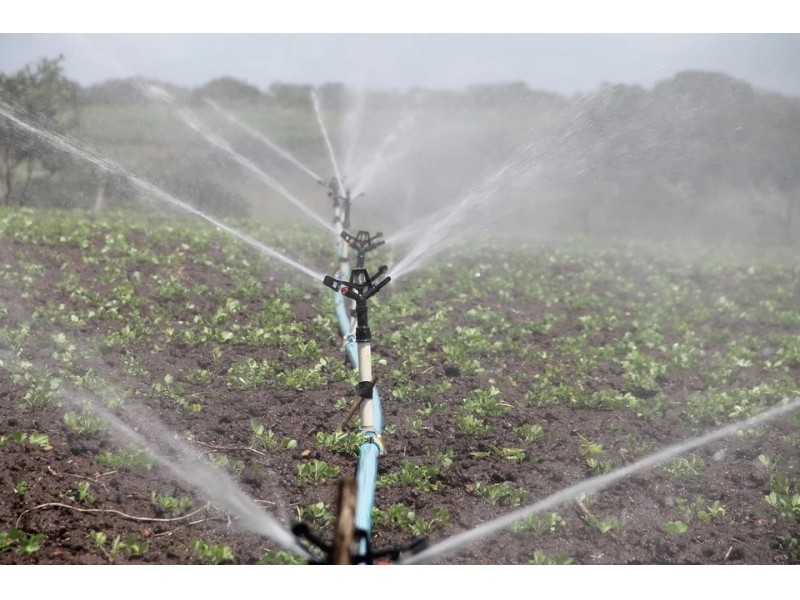 THE CASTILLA Y LEÓN REGIONAL GOVERNMENT ASKS THE MINISTRY OF AGRICULTURE TO INCLUDE IRRIGATION IN THE NEW PAC
