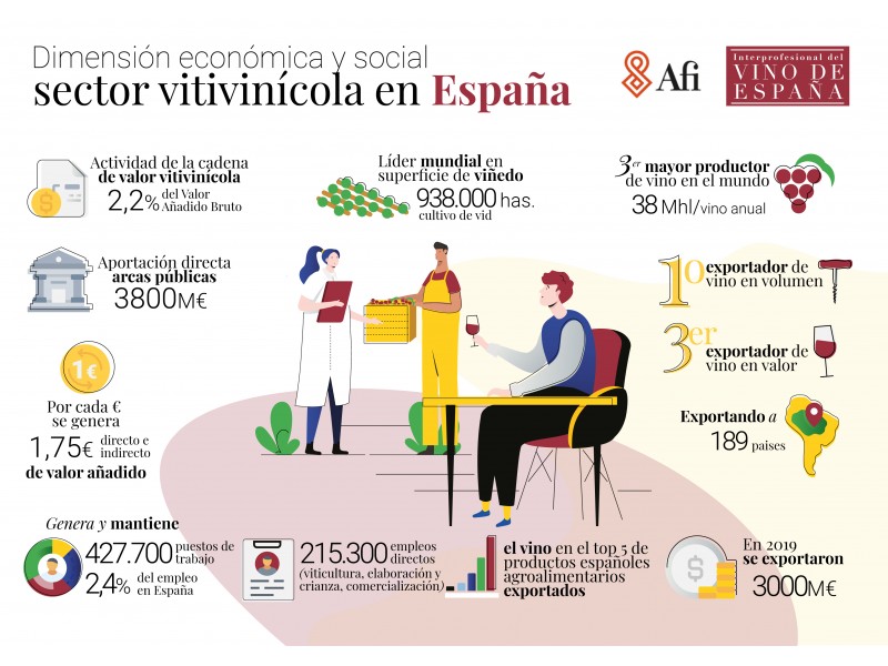 REPORT ON THE ECONOMIC AND SOCIAL IMPORTANCE OF THE WINE SECTOR IN SPAIN.